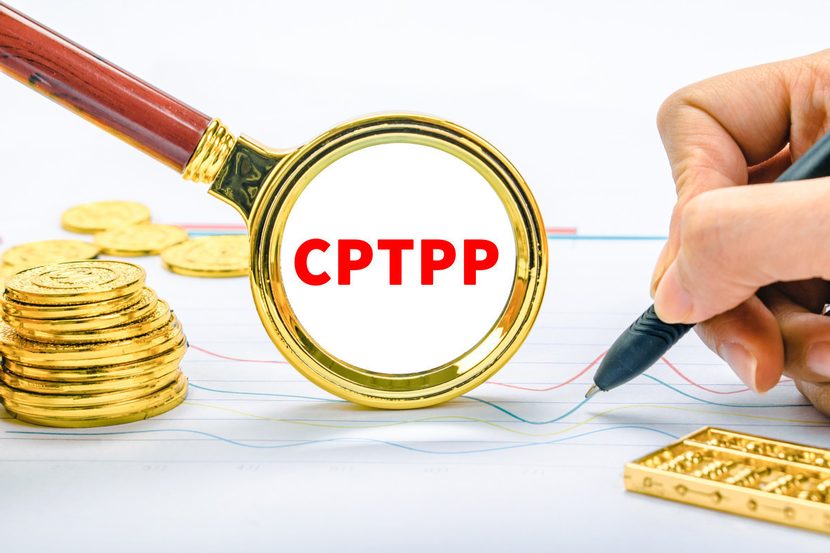 China willing to meet CPTPP standards - Chinadaily.com.cn