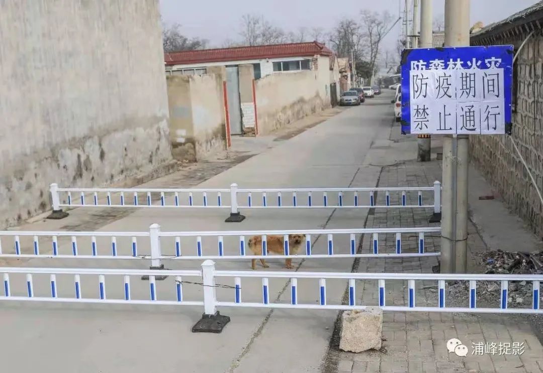 迈向人民的公共卫生事业——写在全球抗击新冠肺炎疫情一周年之际