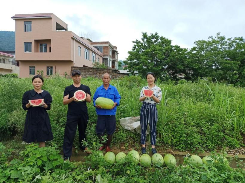 中国燃气合力助农解民忧，促广西多地时令水果火爆销售
