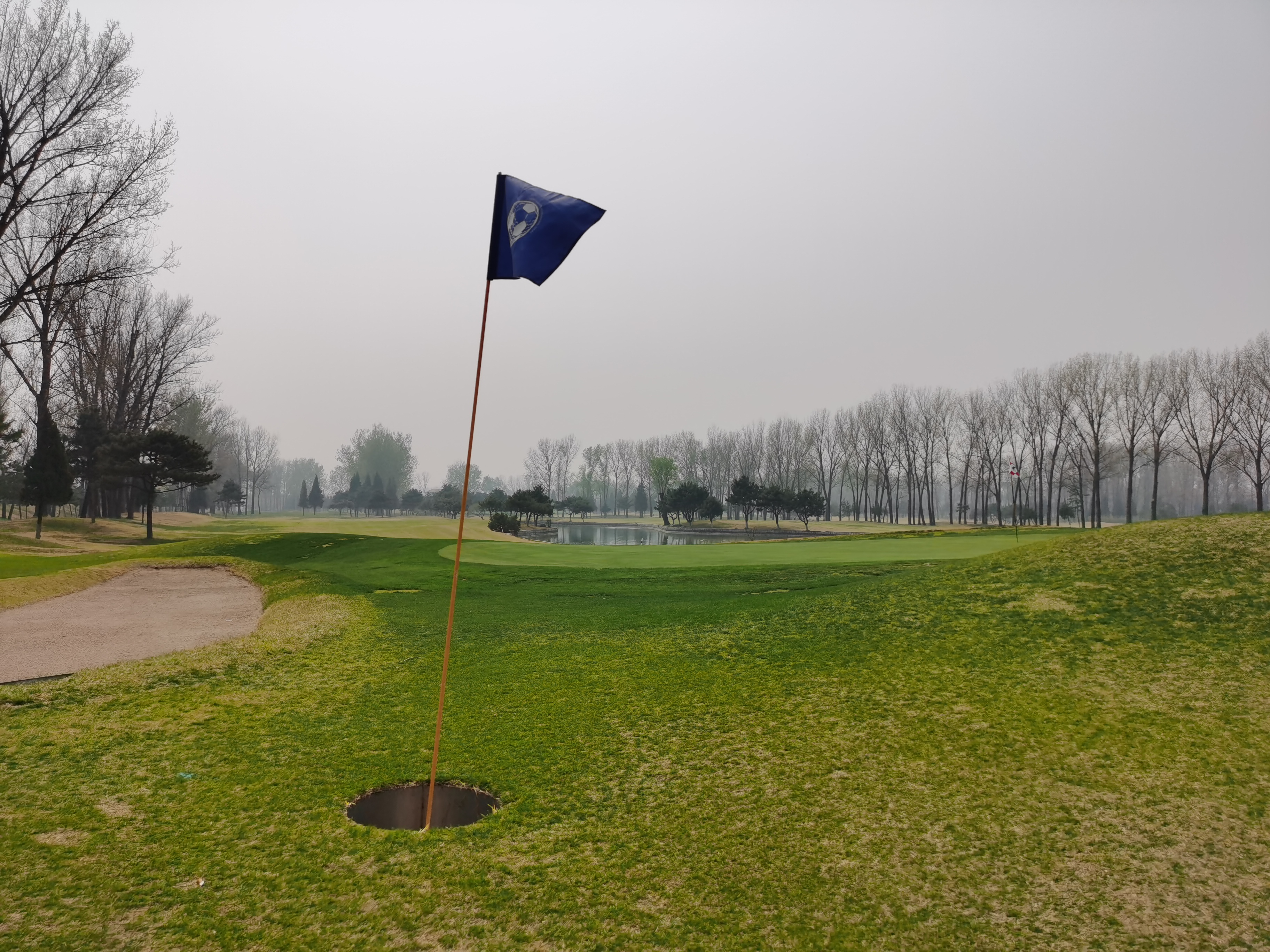 王洋62（-10）公开组夺冠，陈长明66（-6）常青组捧杯！首站赛事落幕