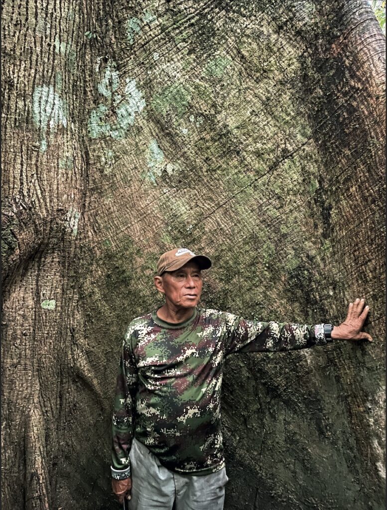 融入林木间，总似在云端——在亚马孙雨林度过的一周